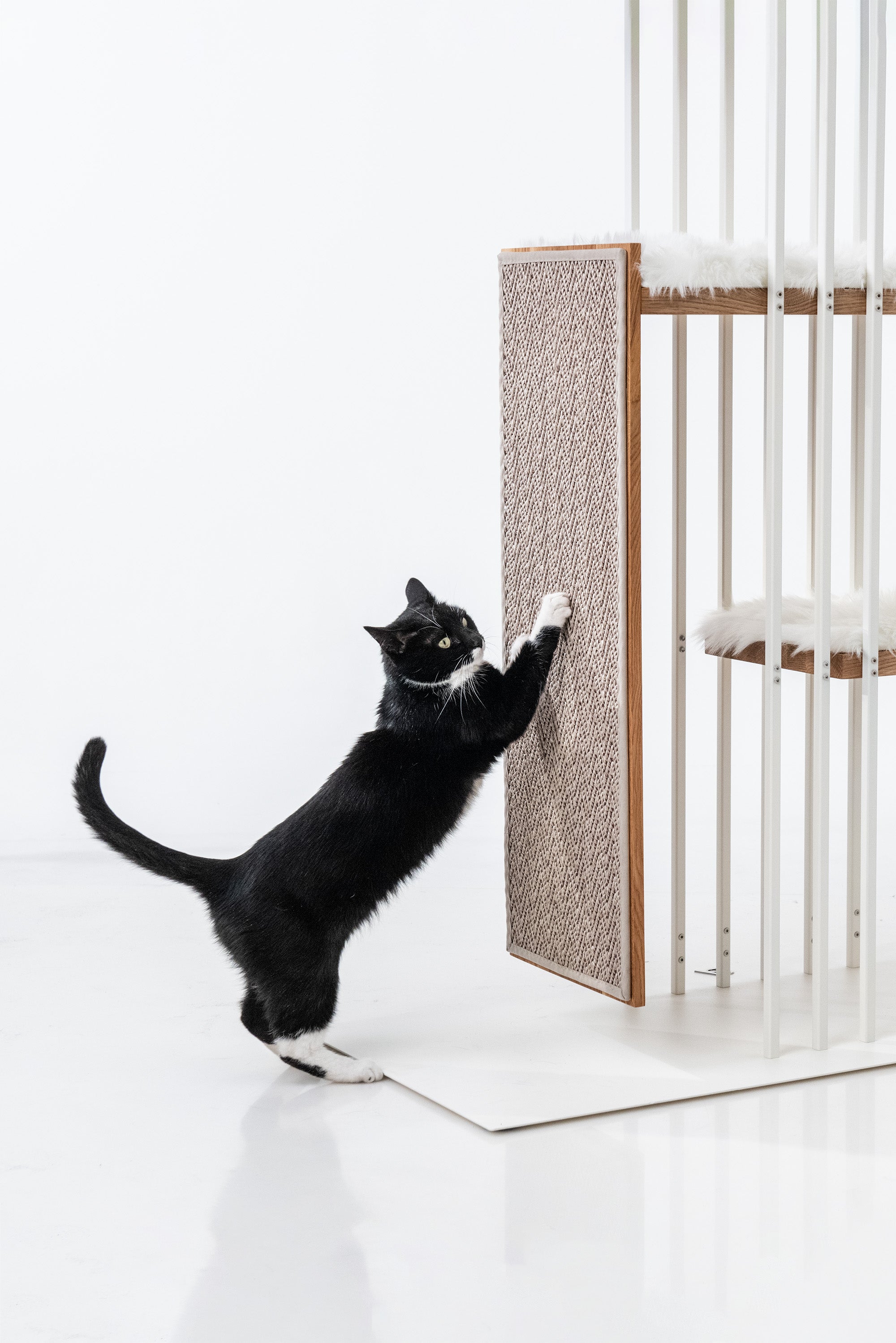 STYA Surface à gratter Sisal | Motif blanc | Pour chats Arbres à chats Ligne MS200