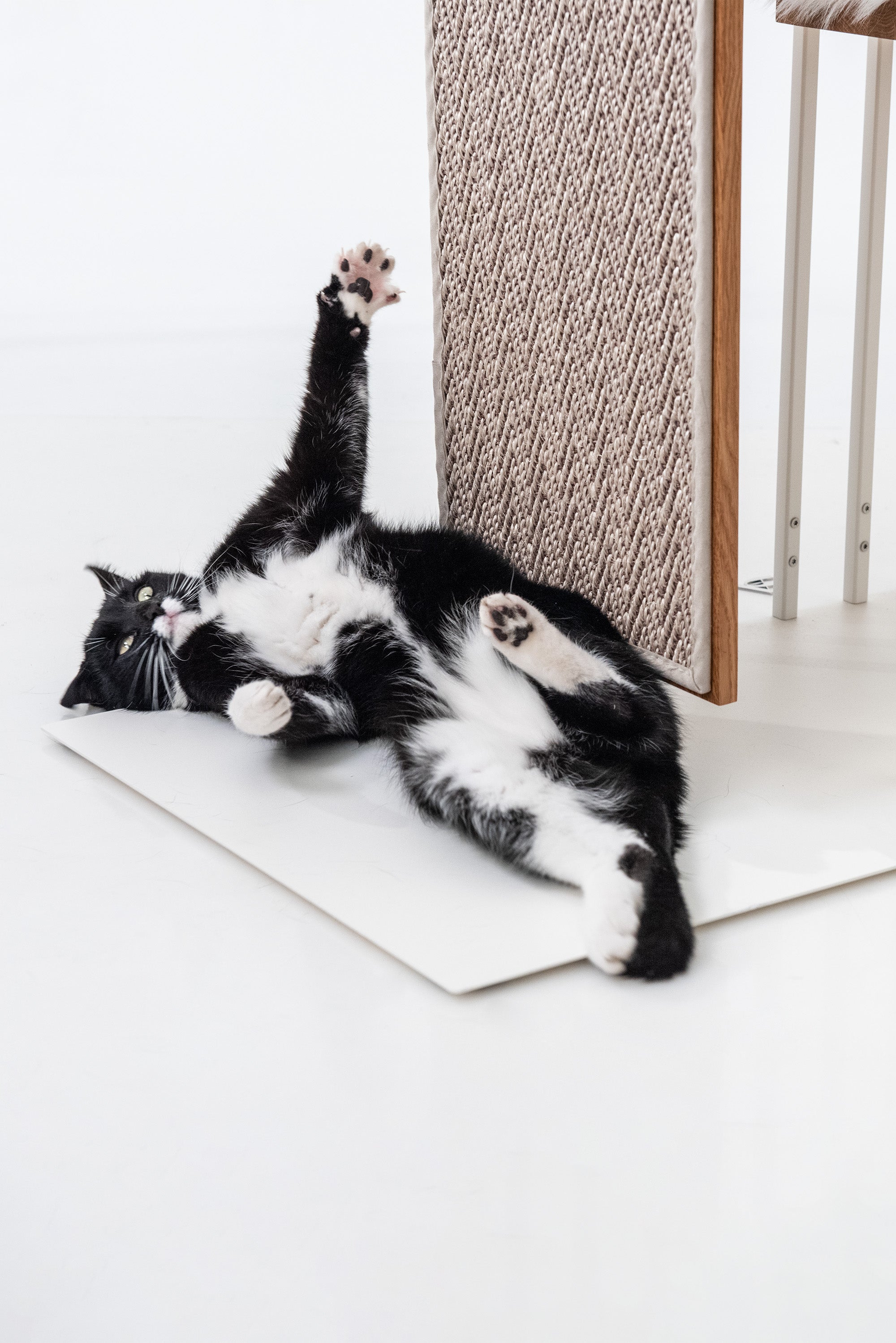 STYA Surface à gratter Sisal | Motif blanc | Pour chats Arbres à chats Ligne MS200