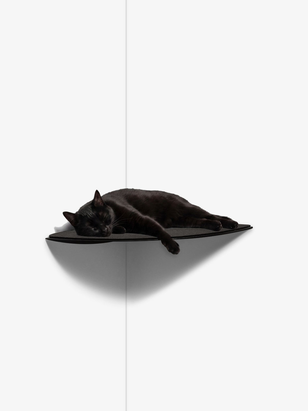 [KI-KATZE]