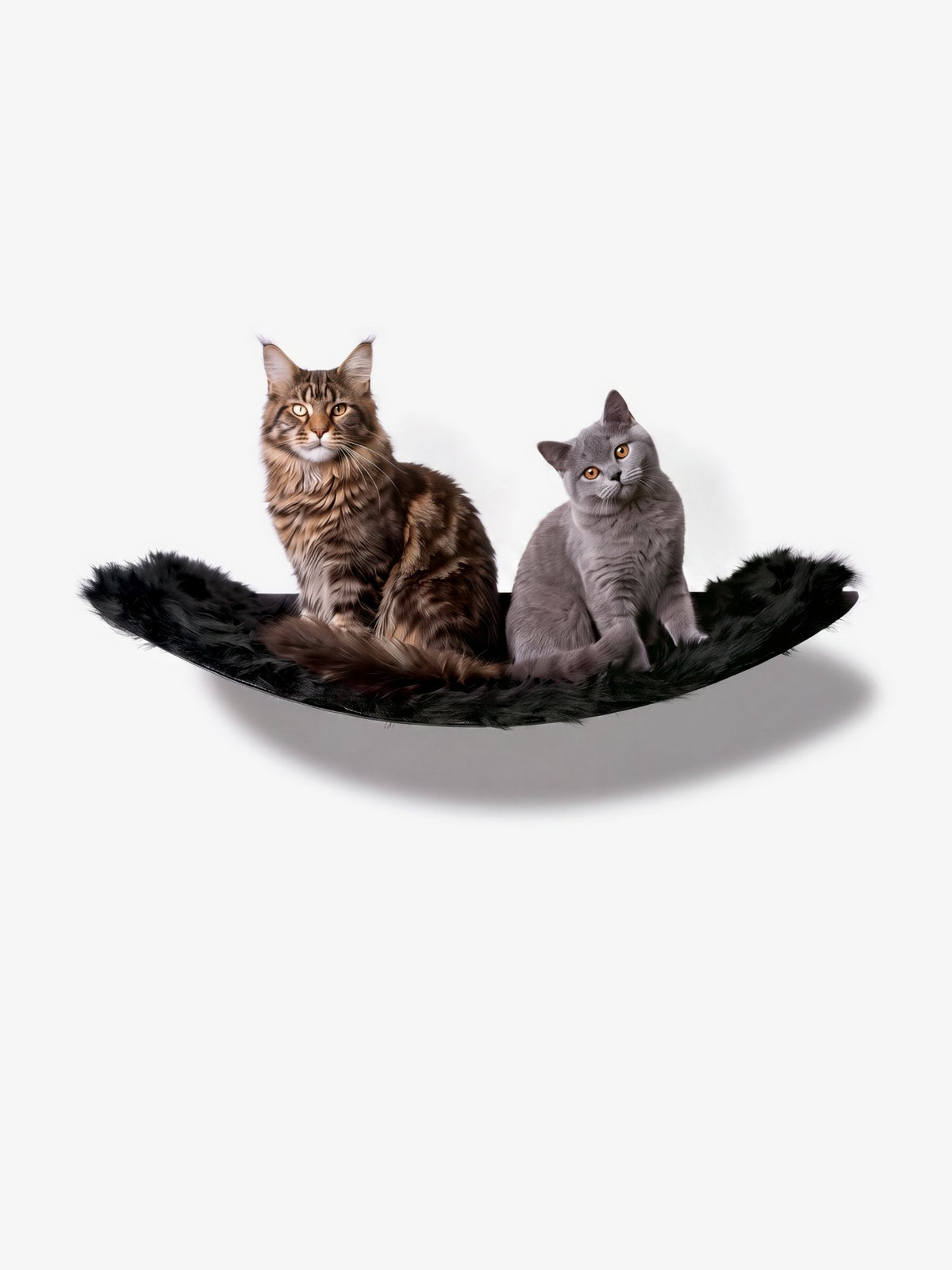[KI-KATZE]