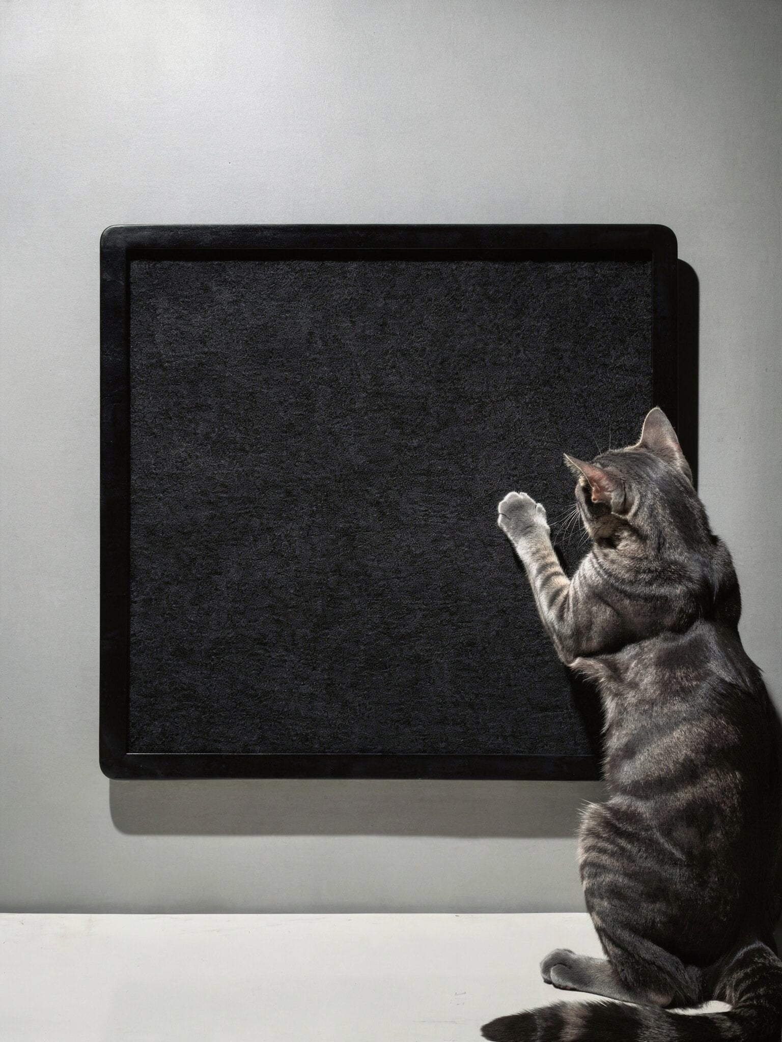 STYA Katzen Kletterwand | Kratzbrett KF330