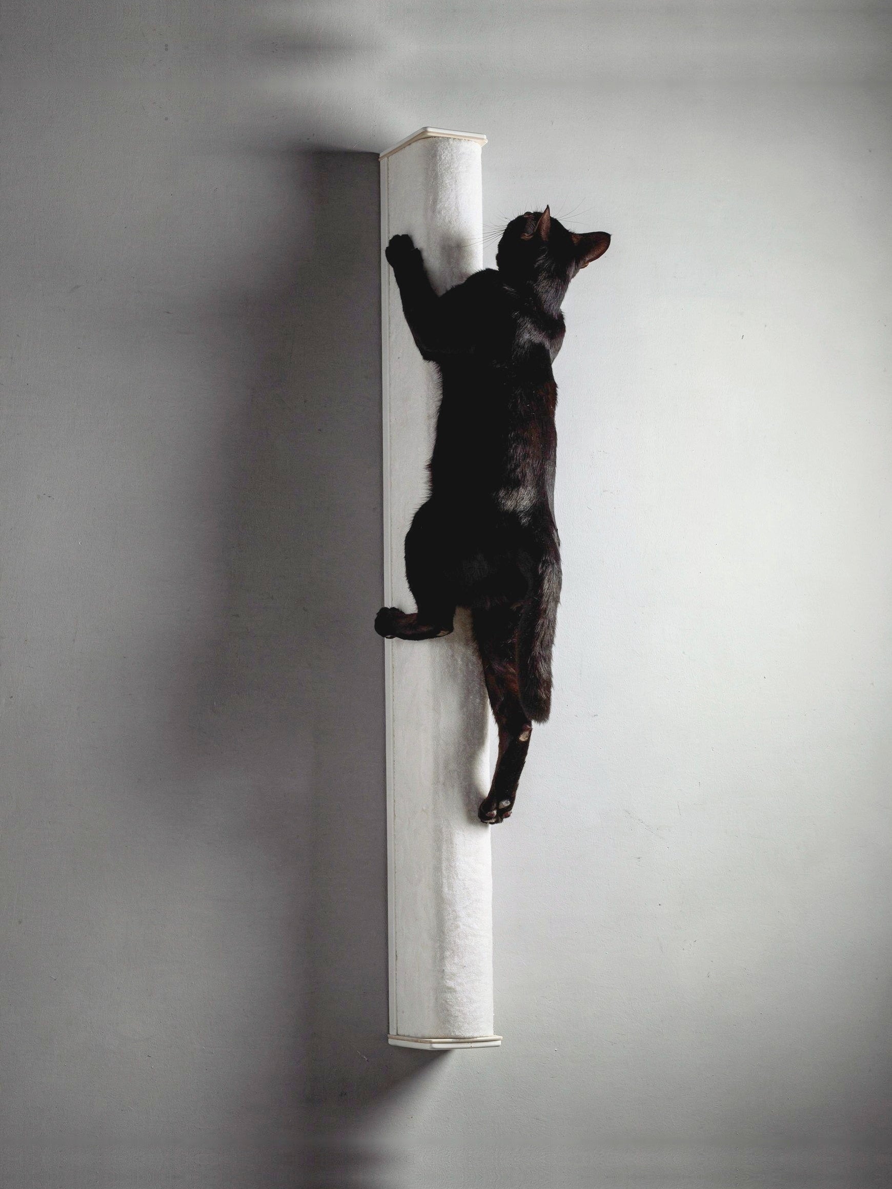 STYA Katzen Kratzstamm KS100 | 100 cm