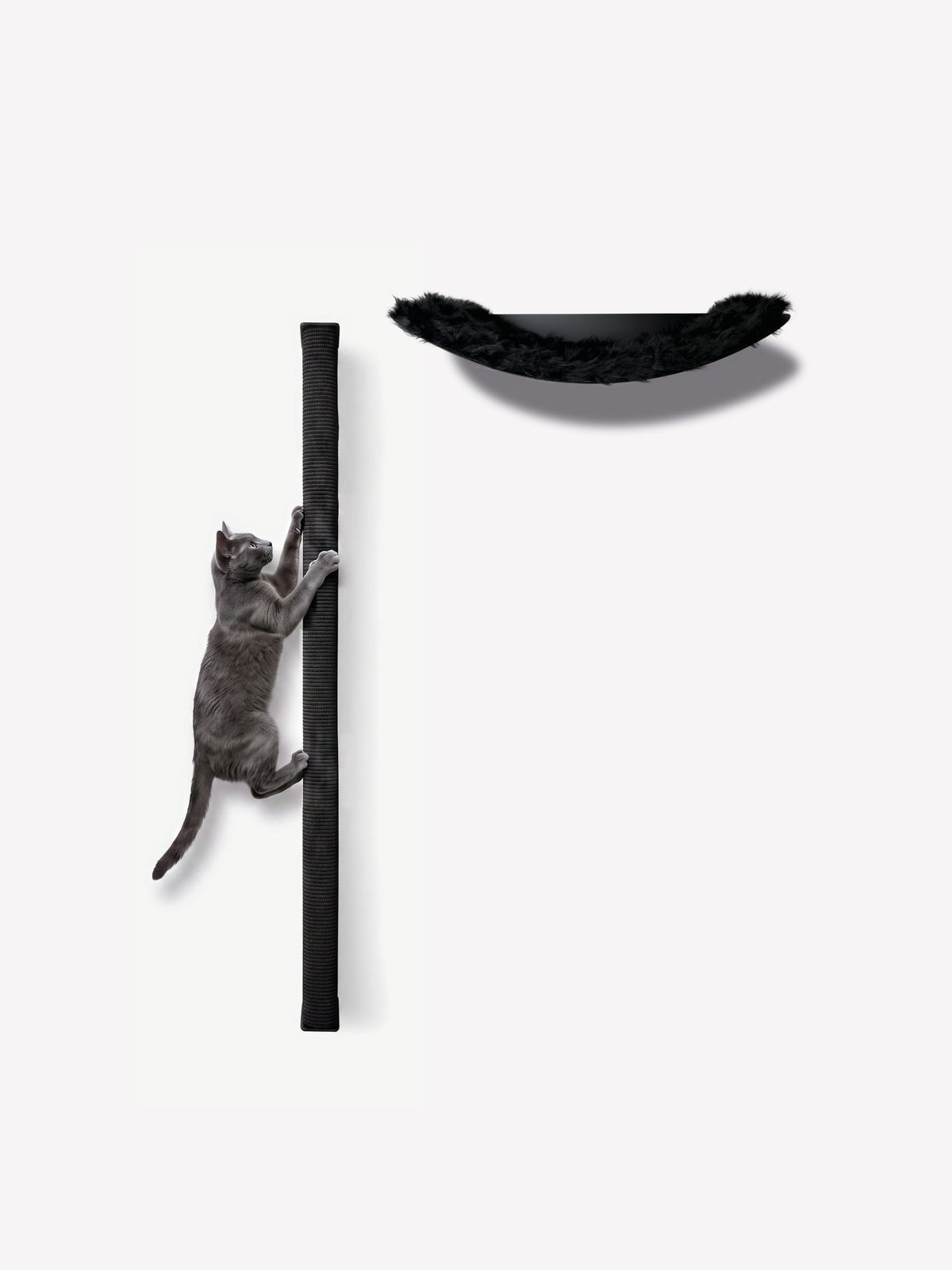 [KI-KATZE]