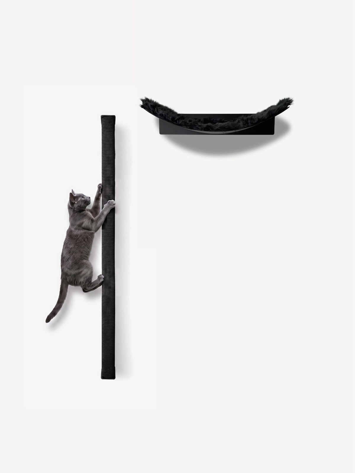 [KI-KATZE]