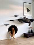 STYA Cat Climbing Wall | Elegance Hammock XXL Set | WL100 Line