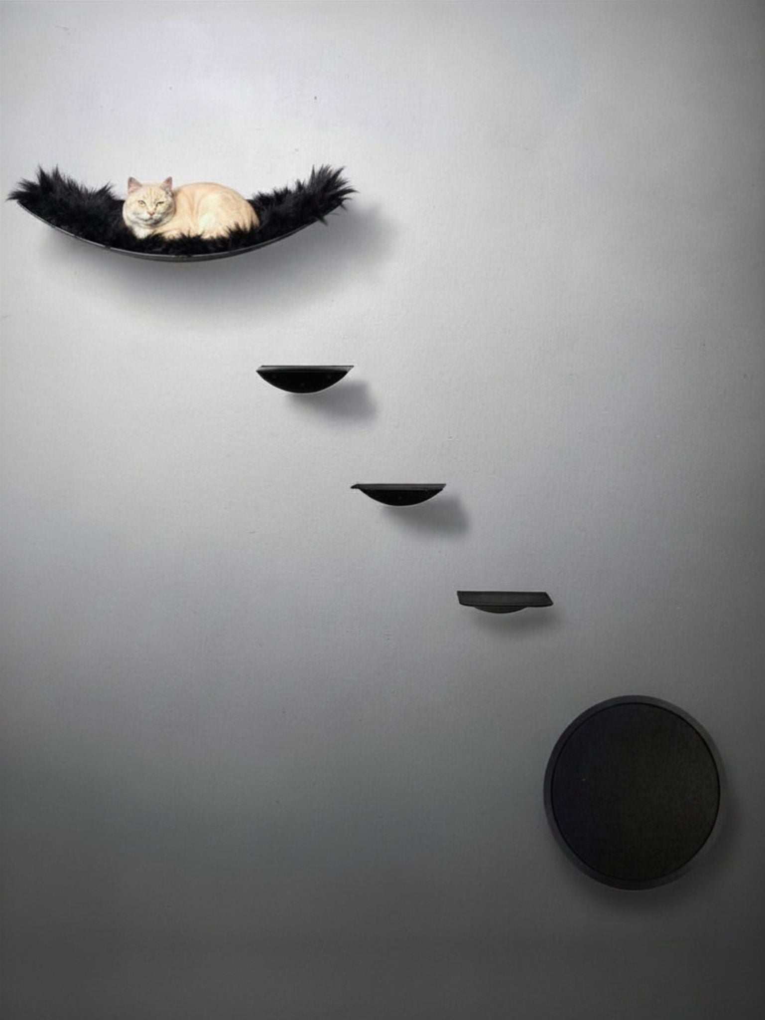 STYA Mur d'escalade pour chats | Ensemble élégance Hamac XXL | Ligne WL100