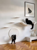 STYA Mur d'escalade pour chats | Ensemble élégance Hamac XXL | Ligne WL100