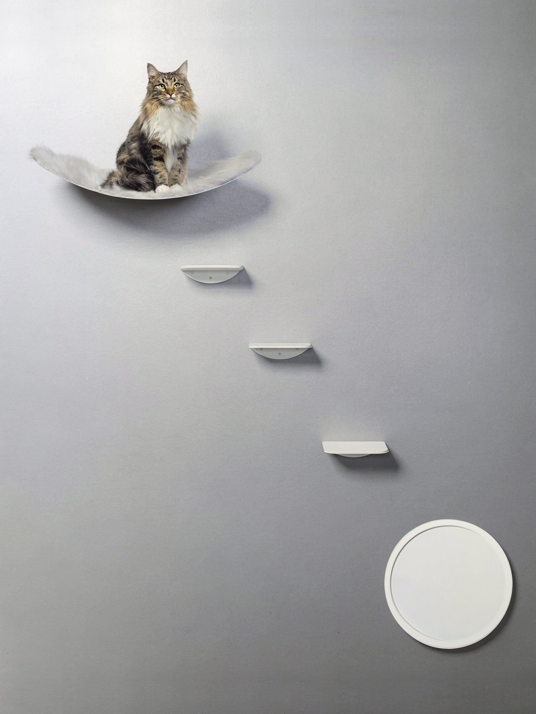 STYA Mur d'escalade pour chats | Ensemble élégance Hamac XXL | Ligne WL100