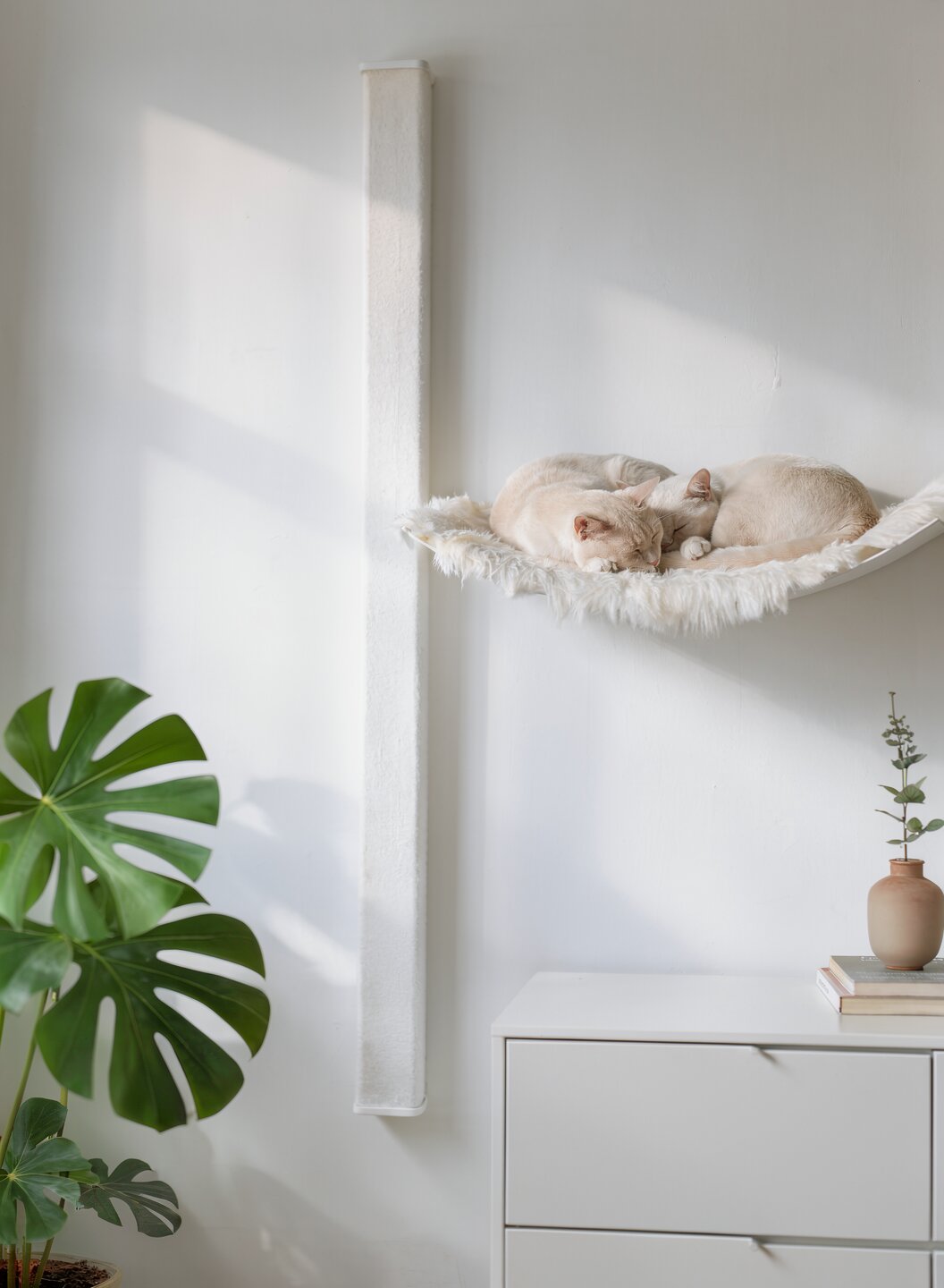 STYA Katzen Kletterwand | Set Essence | Kratzstamm KS150 + XXL Hängematte WL170