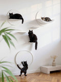 STYA Katzen Kletterwand | Set Galerie | Linie WL100