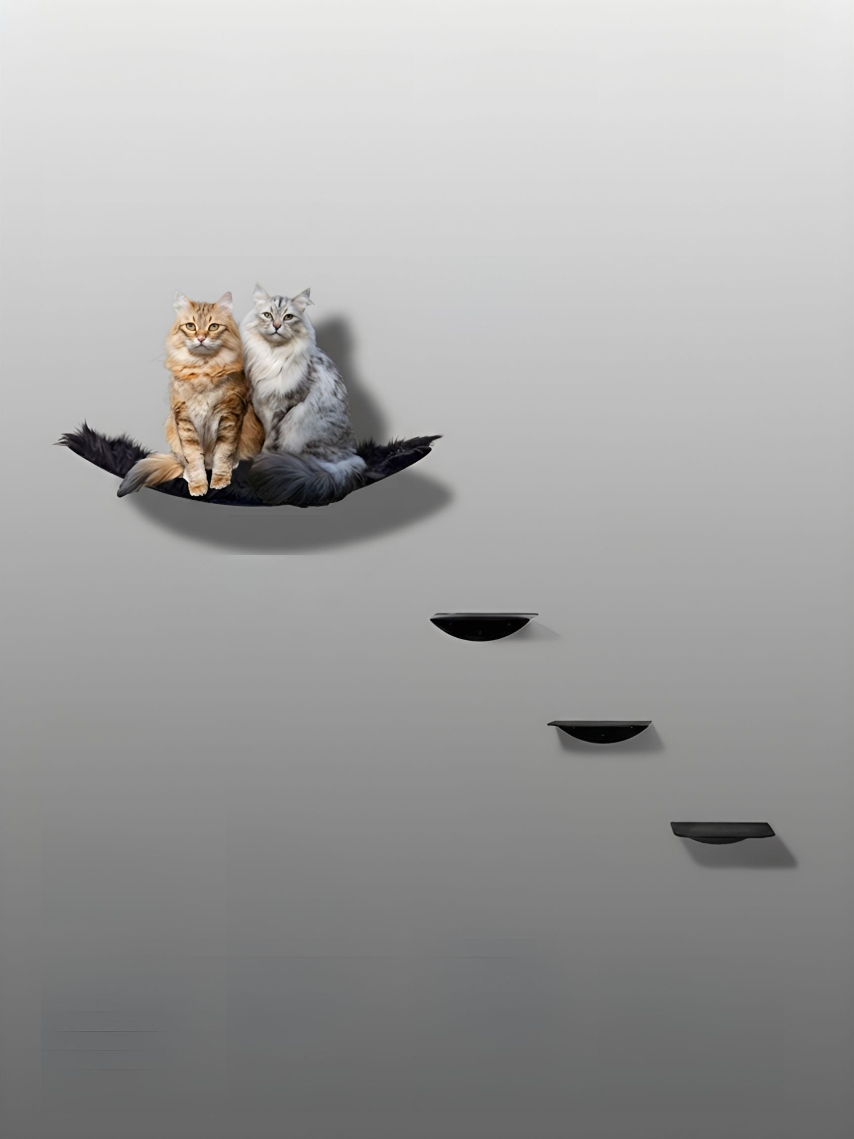 STYA Mur d'escalade pour chat | Hamac mural XXL minimaliste | Ligne WL100