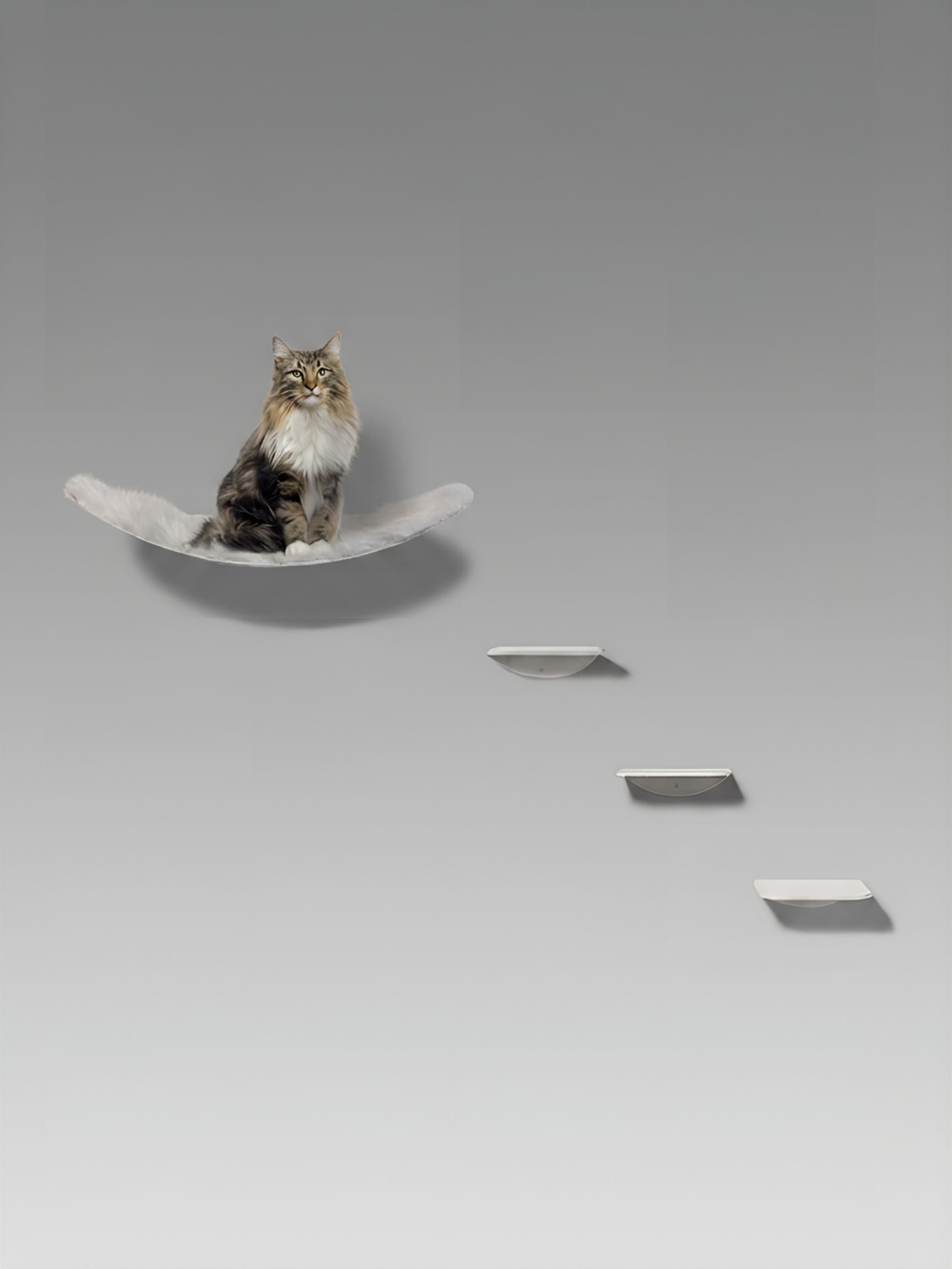 STYA Mur d'escalade pour chat | Hamac mural XXL minimaliste | Ligne WL100