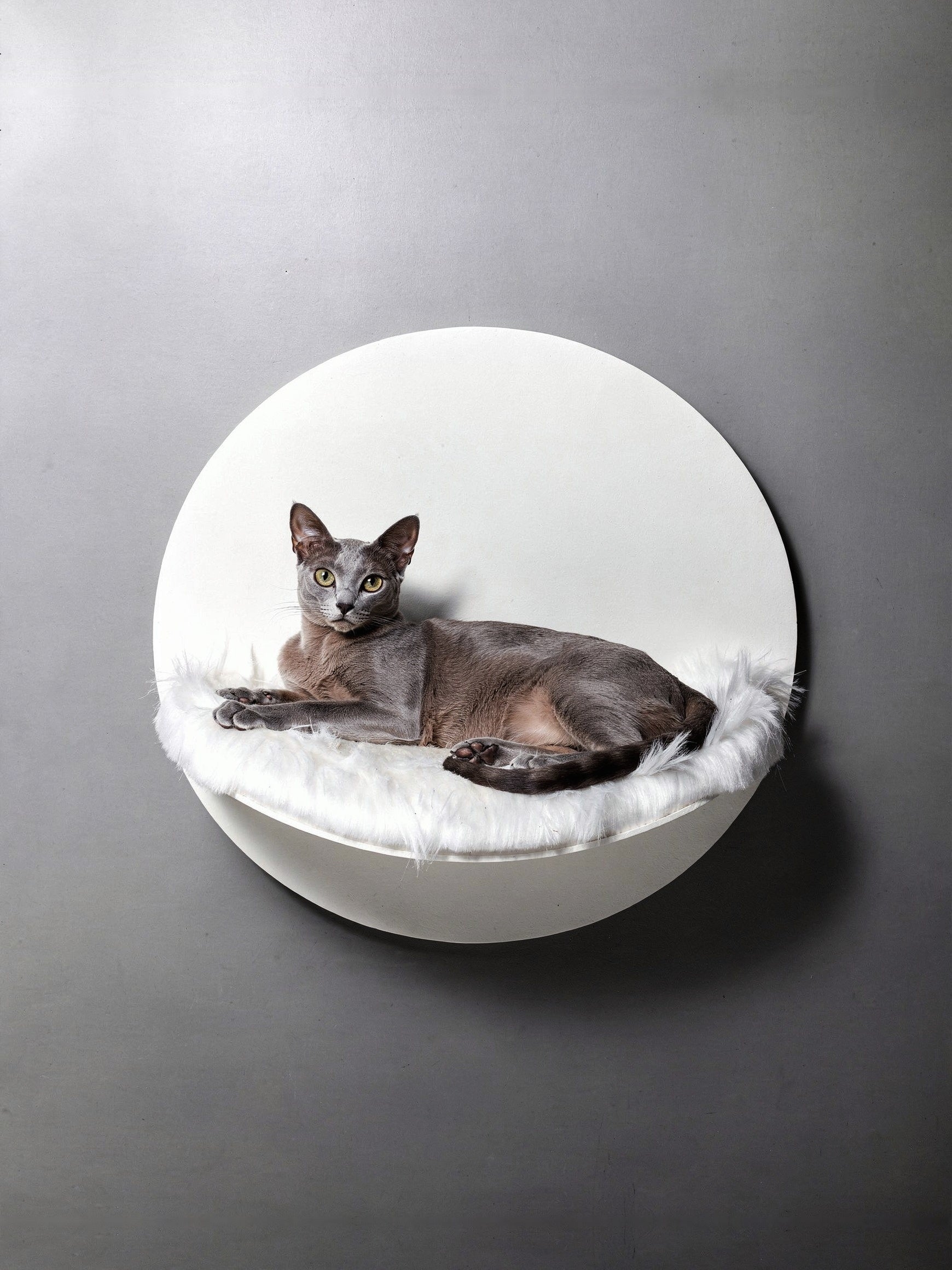 STYA Katzen Kletterwand | Hängematte WL110
