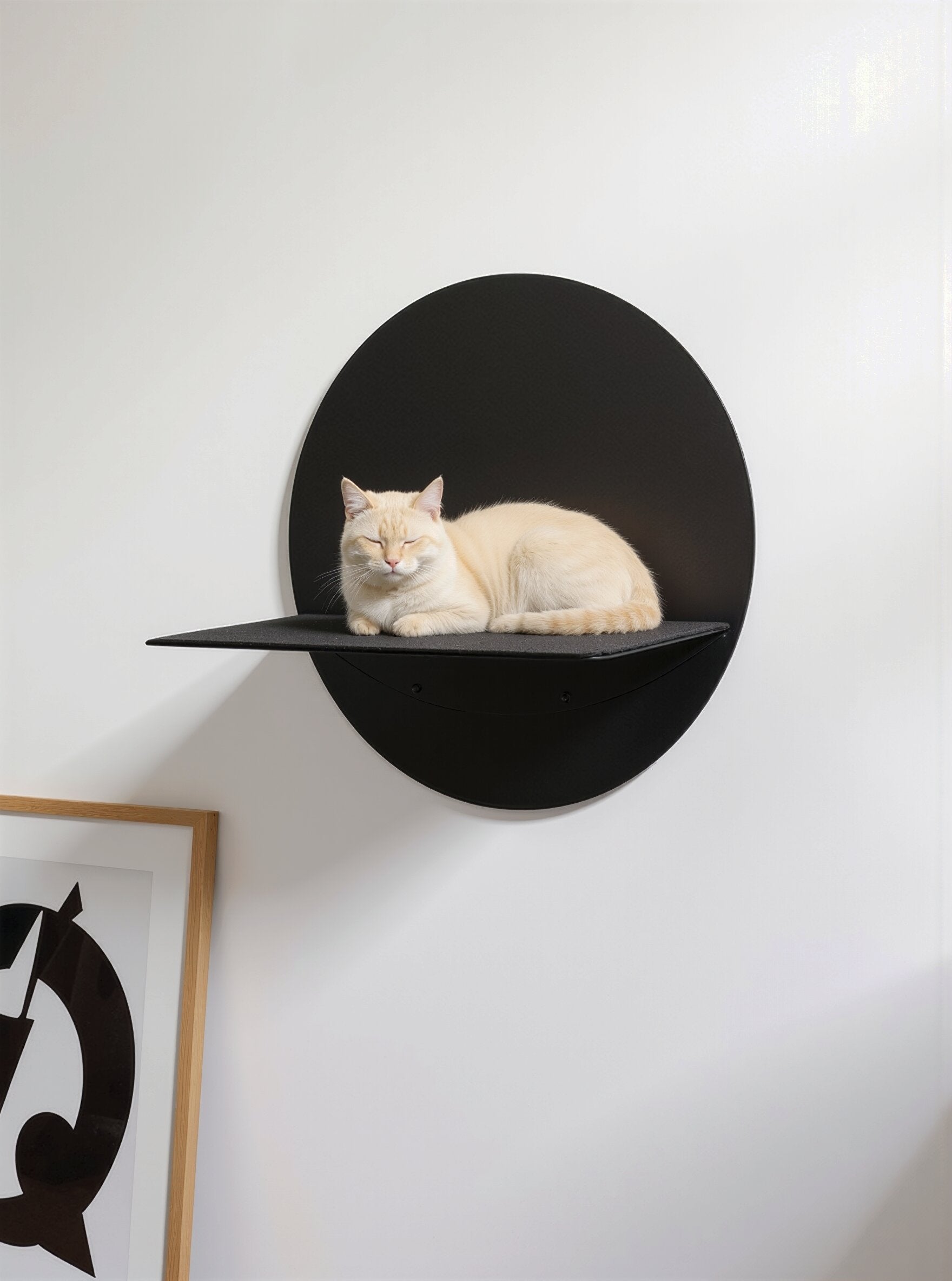 STYA Katzen Kletterwand | Wandliege WL120