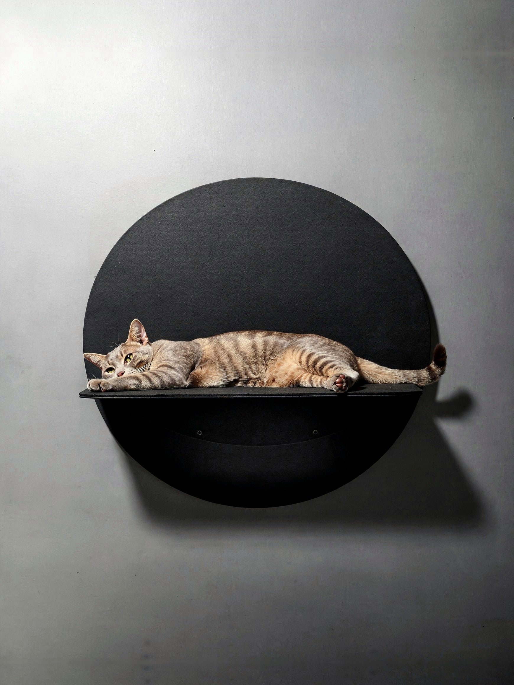 STYA Katzen Kletterwand | Wandliege WL120
