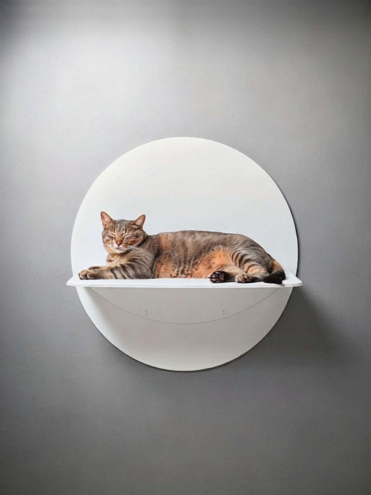 STYA Katzen Kletterwand | Wandliege WL120