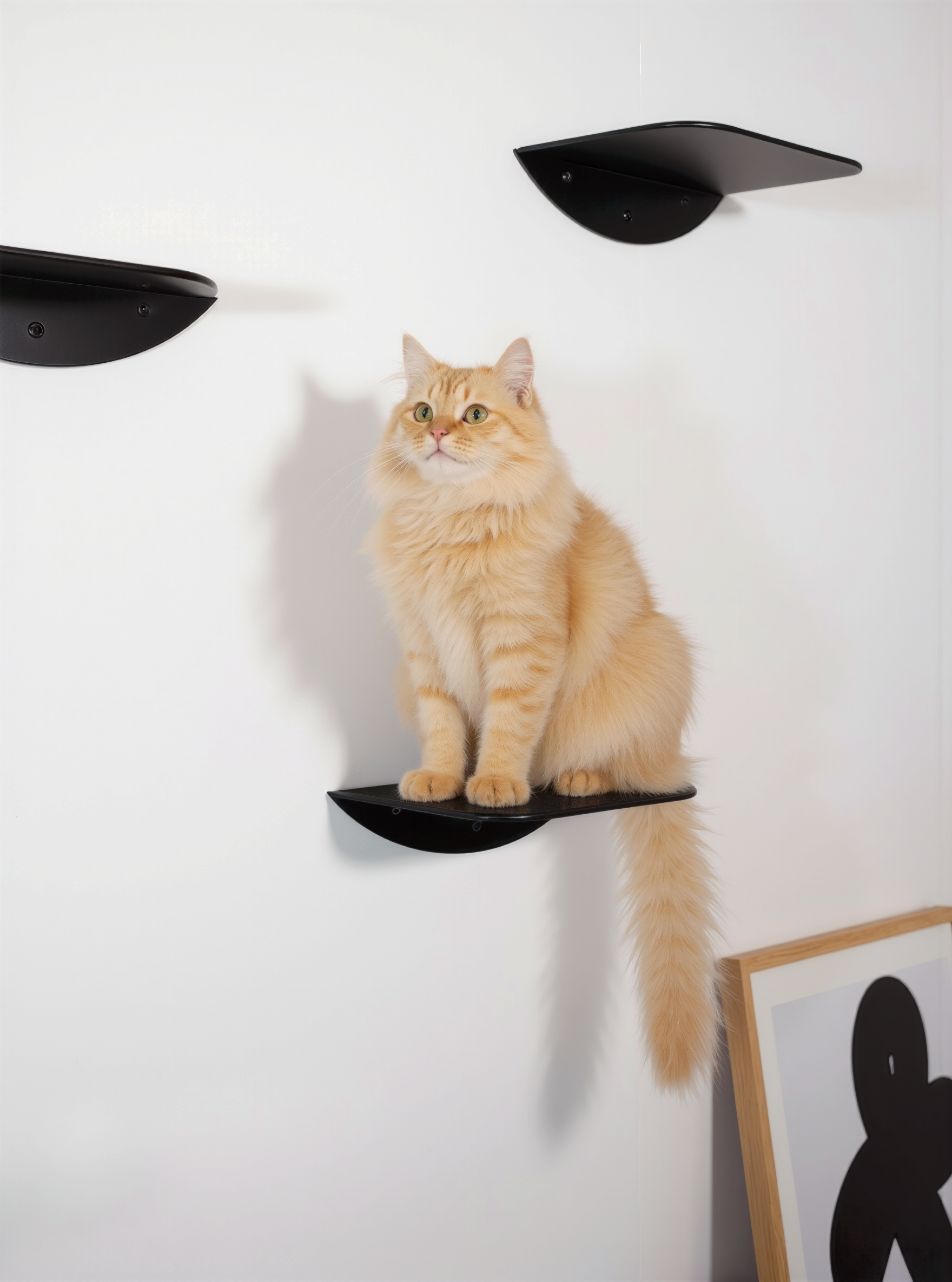 STYA Katzen Kletterwand | Katzen Treppe WL140 | Mit 3 Stufen