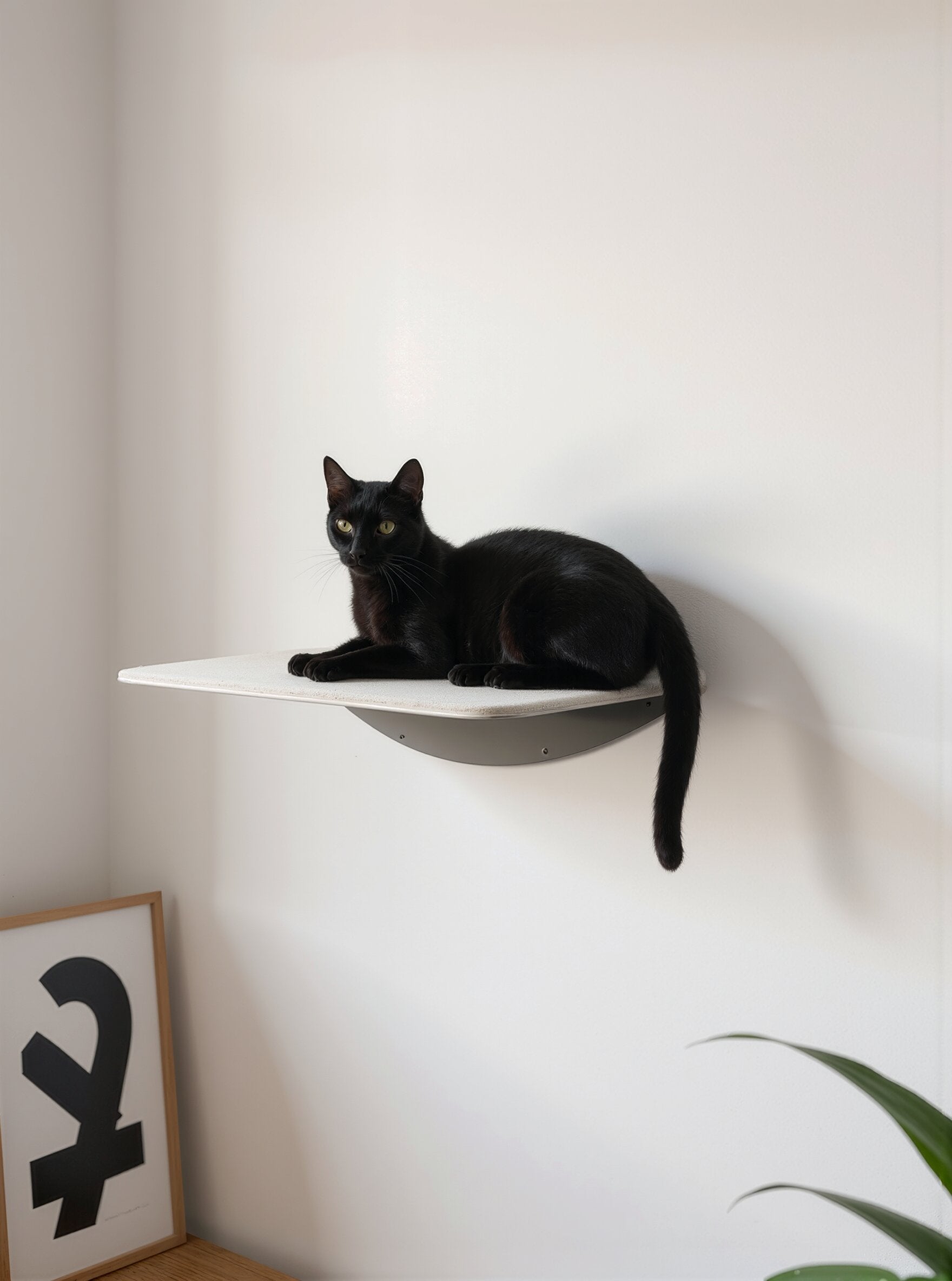 STYA Katzen Kletterwand | Wandliege WL150