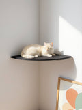 STYA Mur d'escalade pour chat | Coin-repos WL160