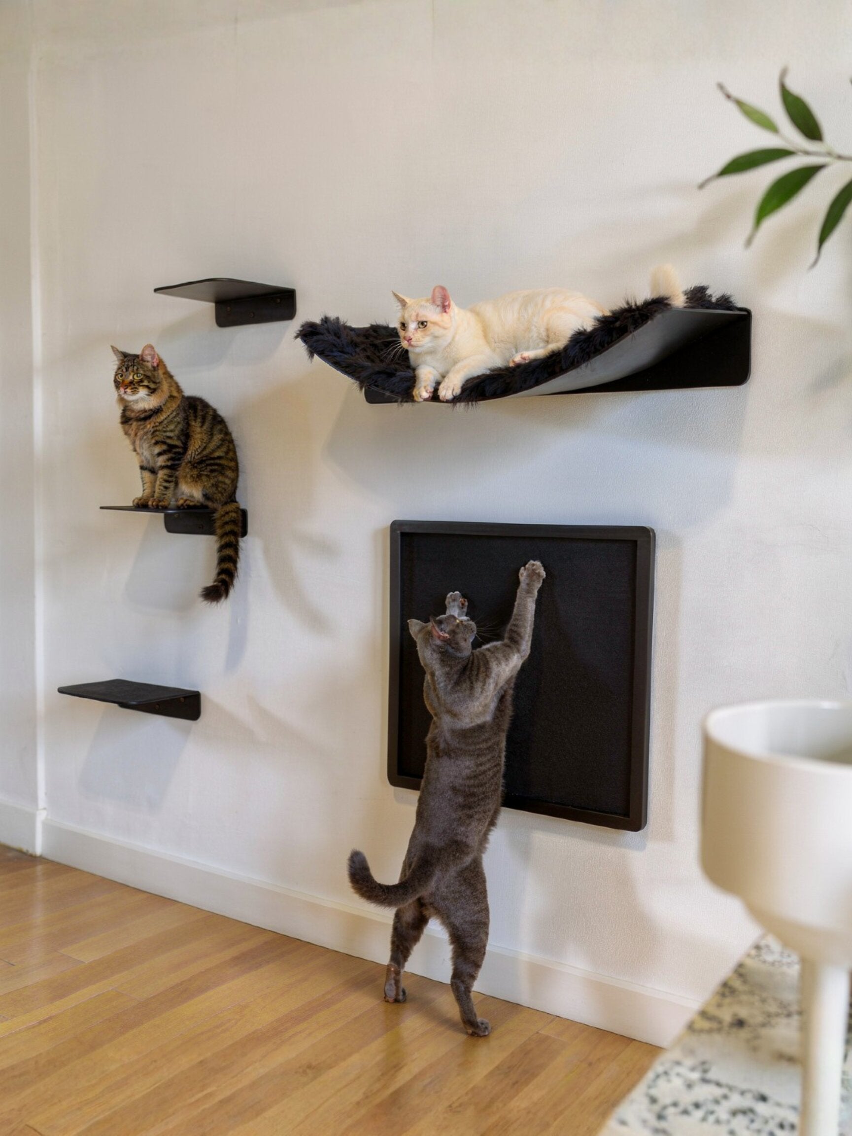 STYA Katzen Kletterwand | Set Eleganz Hängematte XXL | Linie WL300