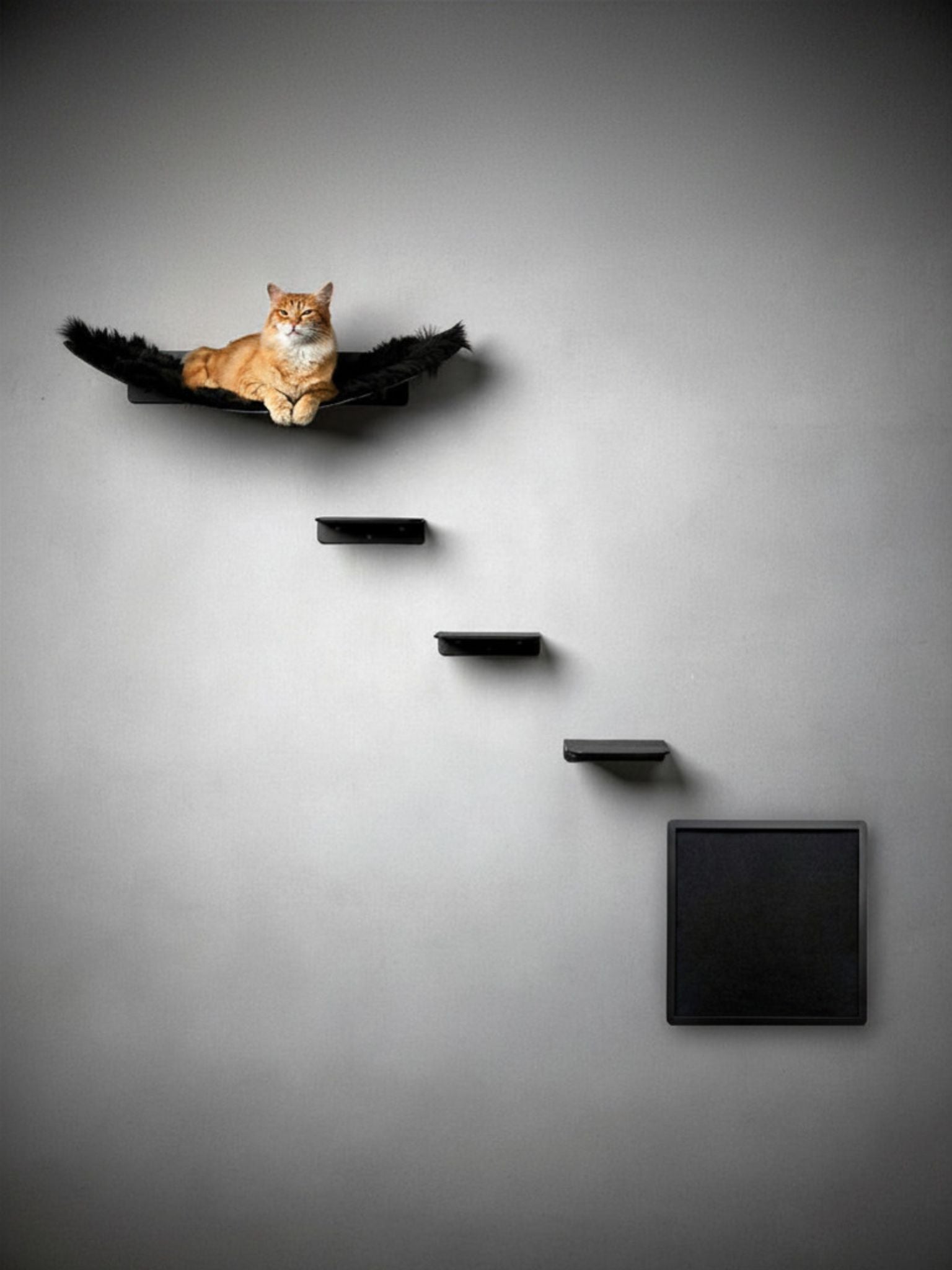 STYA Mur d'escalade pour chat | Set Hamac XL ÉLÉGANCE | Gamme WL300