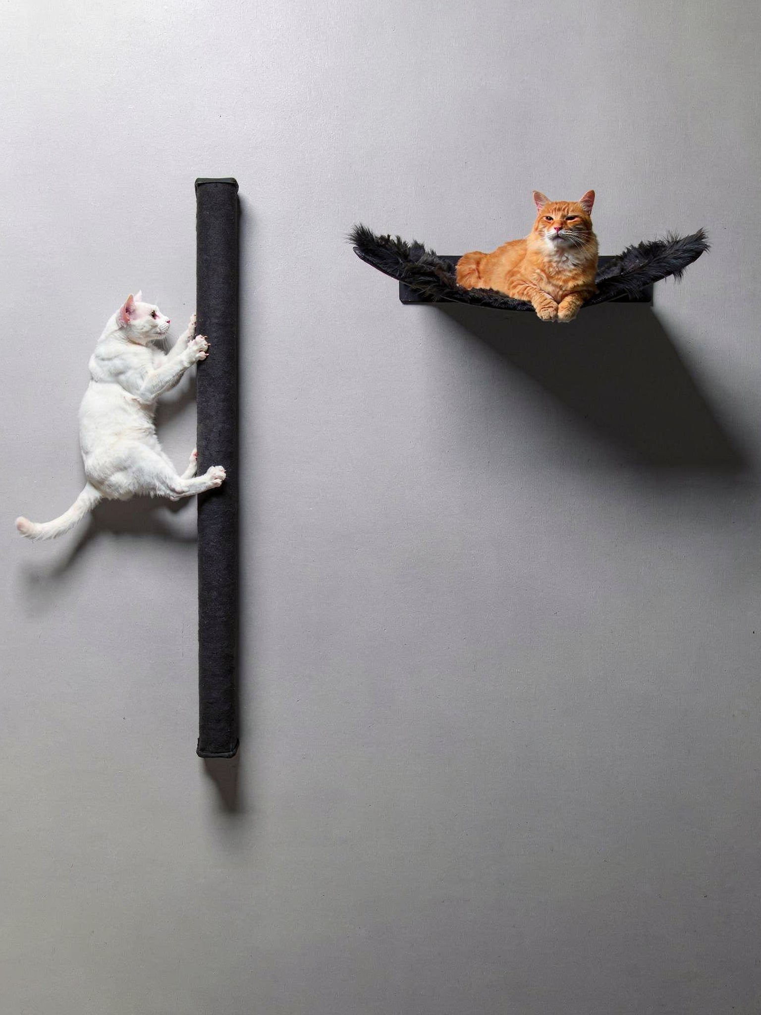 STYA Katzen Kletterwand | Set Essence | Kratzstamm KS150 + XXL Hängematte WL370