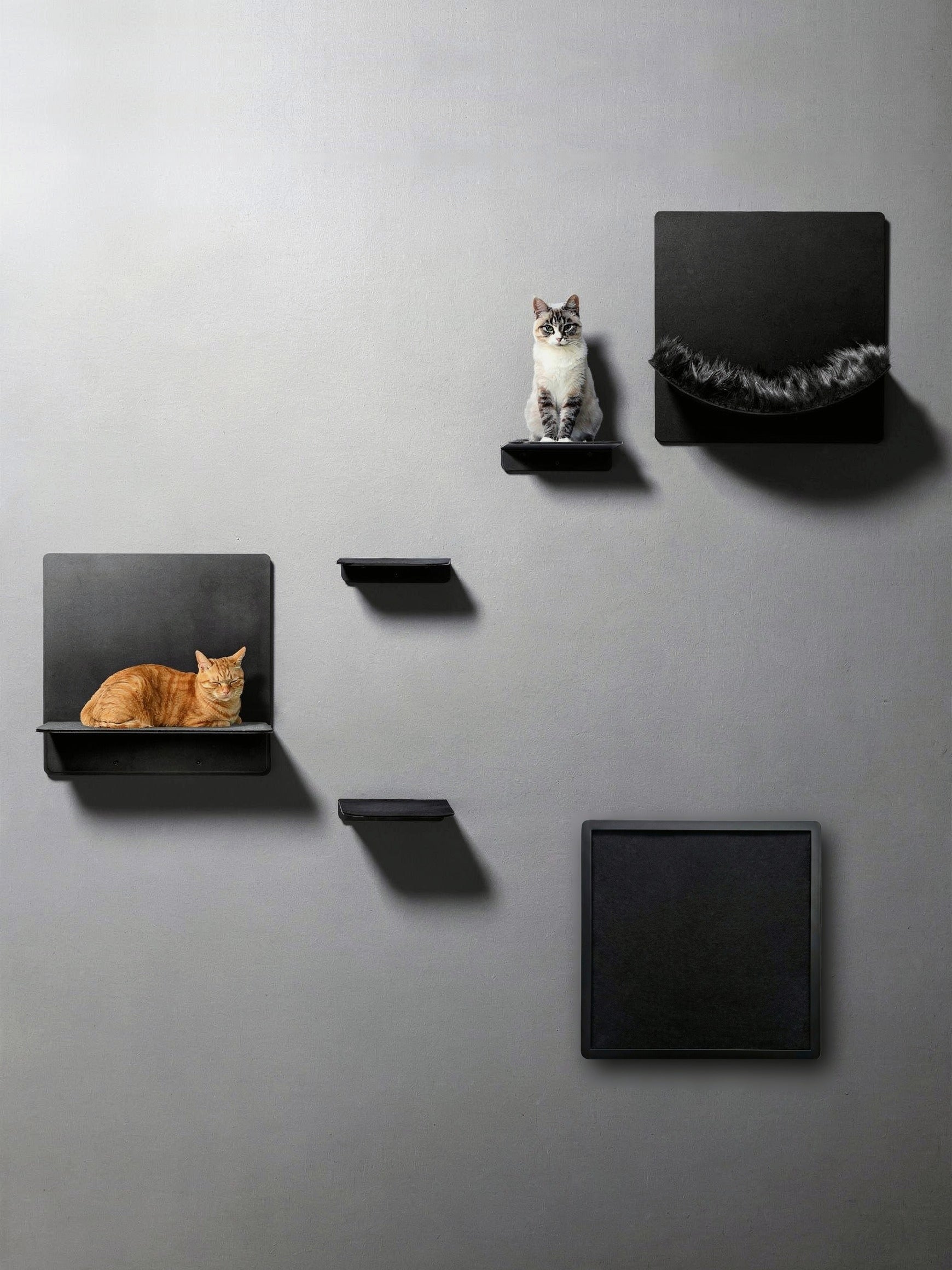Mur d'escalade pour chats STYA | Galerie de sets | Ligne WL300