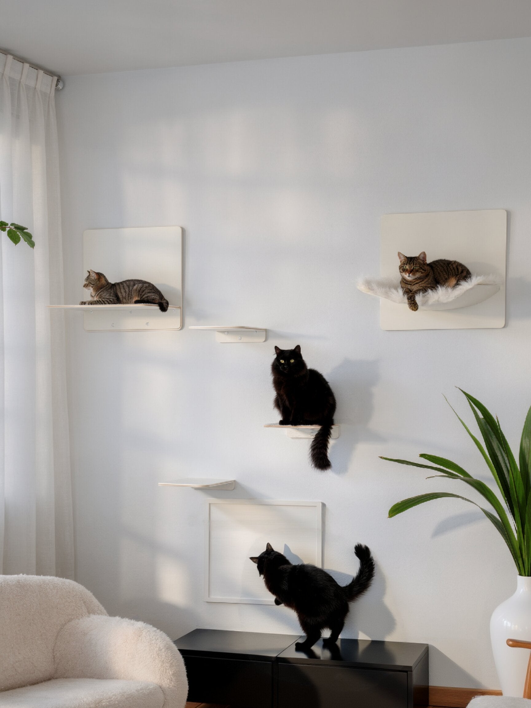 STYA Katzen Kletterwand | Set Galerie | Linie WL300