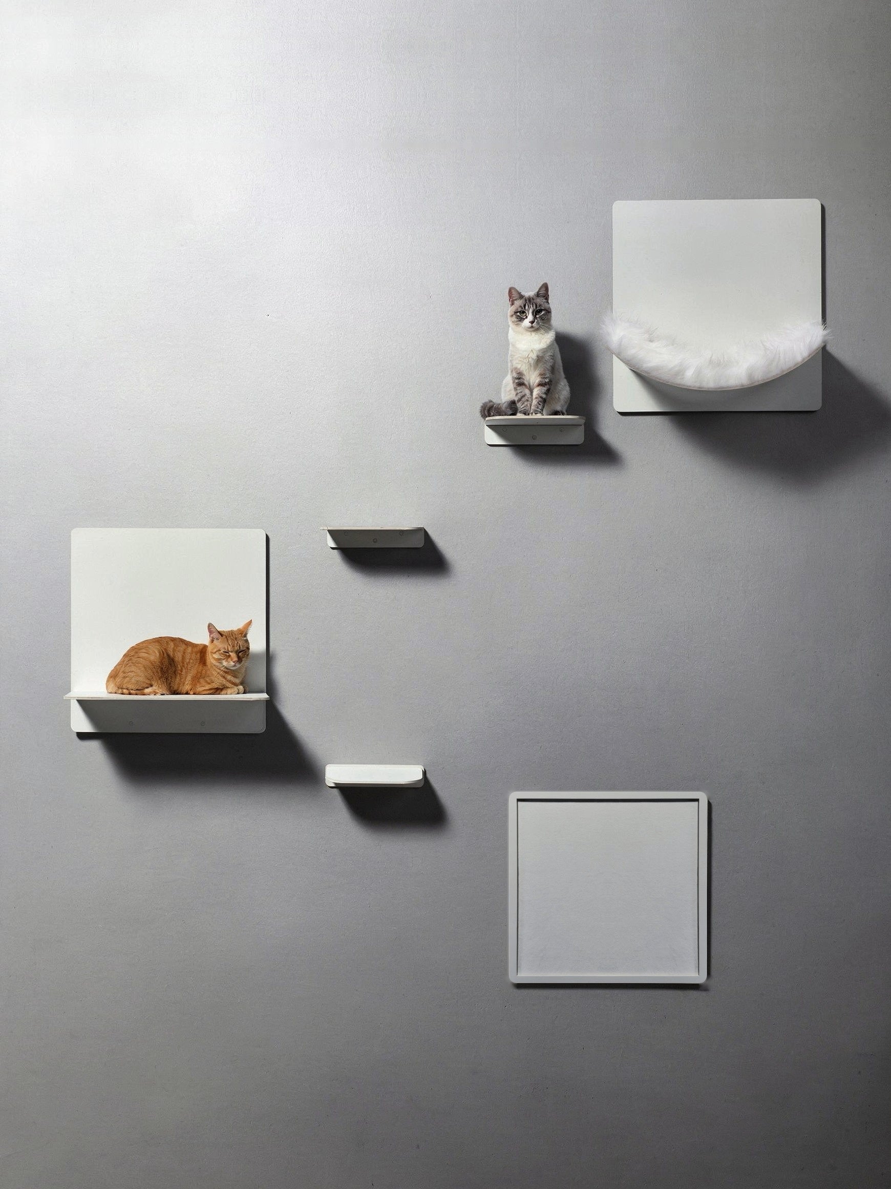 Mur d'escalade pour chats STYA | Galerie de sets | Ligne WL300