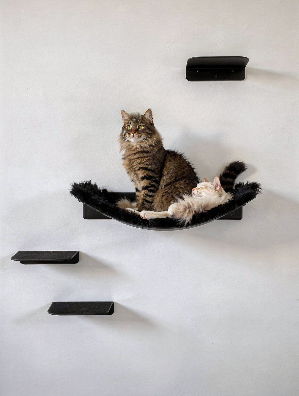 STYA Katzen Kletterwand | Set Minimalist Hängematte XXL | Linie WL300