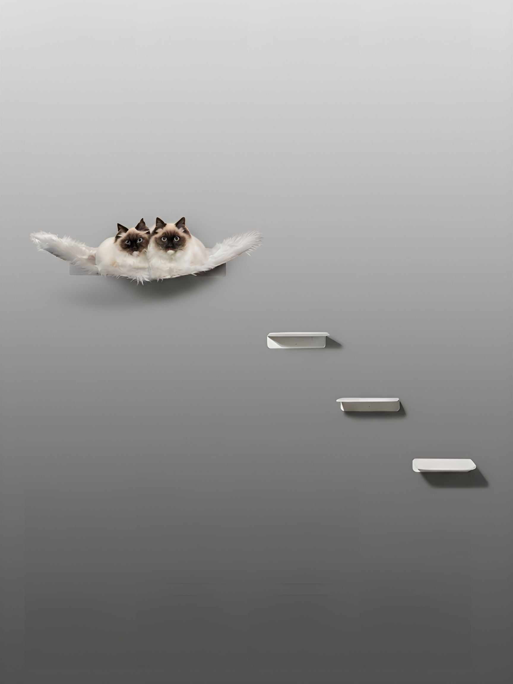 STYA Katzen Kletterwand | Set Minimalist Hängematte XXL | Linie WL300