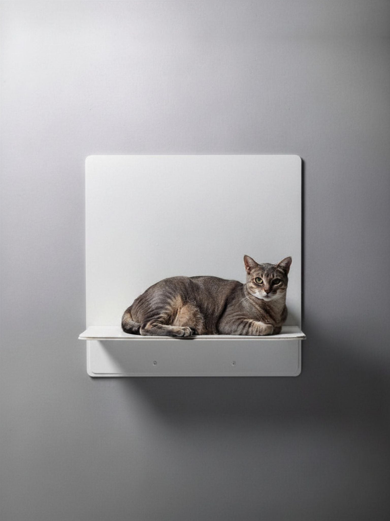 STYA Katzen Kletterwand | Wandliege WL320