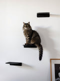 STYA Katzen Kletterwand | Katzen Treppe WL340 | Mit 3 Stufen