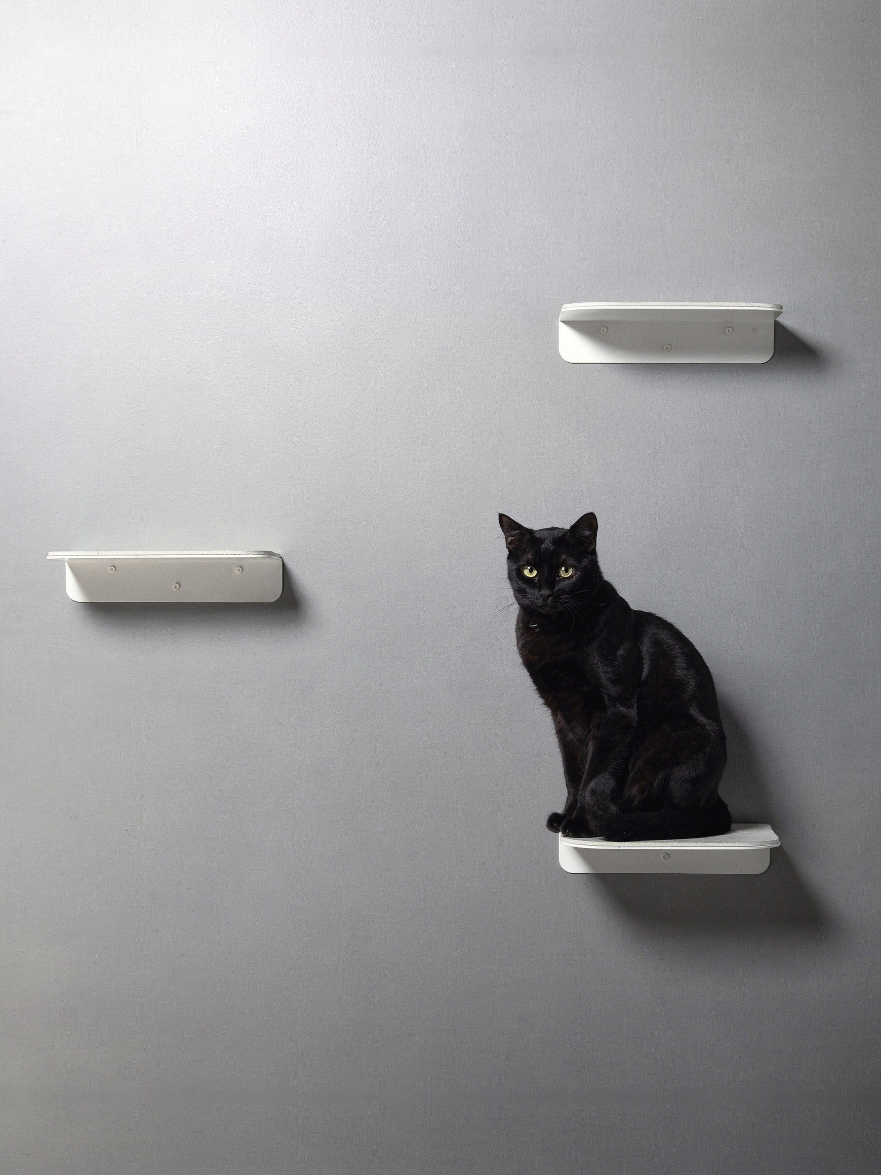 STYA Katzen Kletterwand | Katzen Treppe WL340 | Mit 3 Stufen