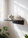 STYA Cat Climbing Wall | Wall Perch WL350