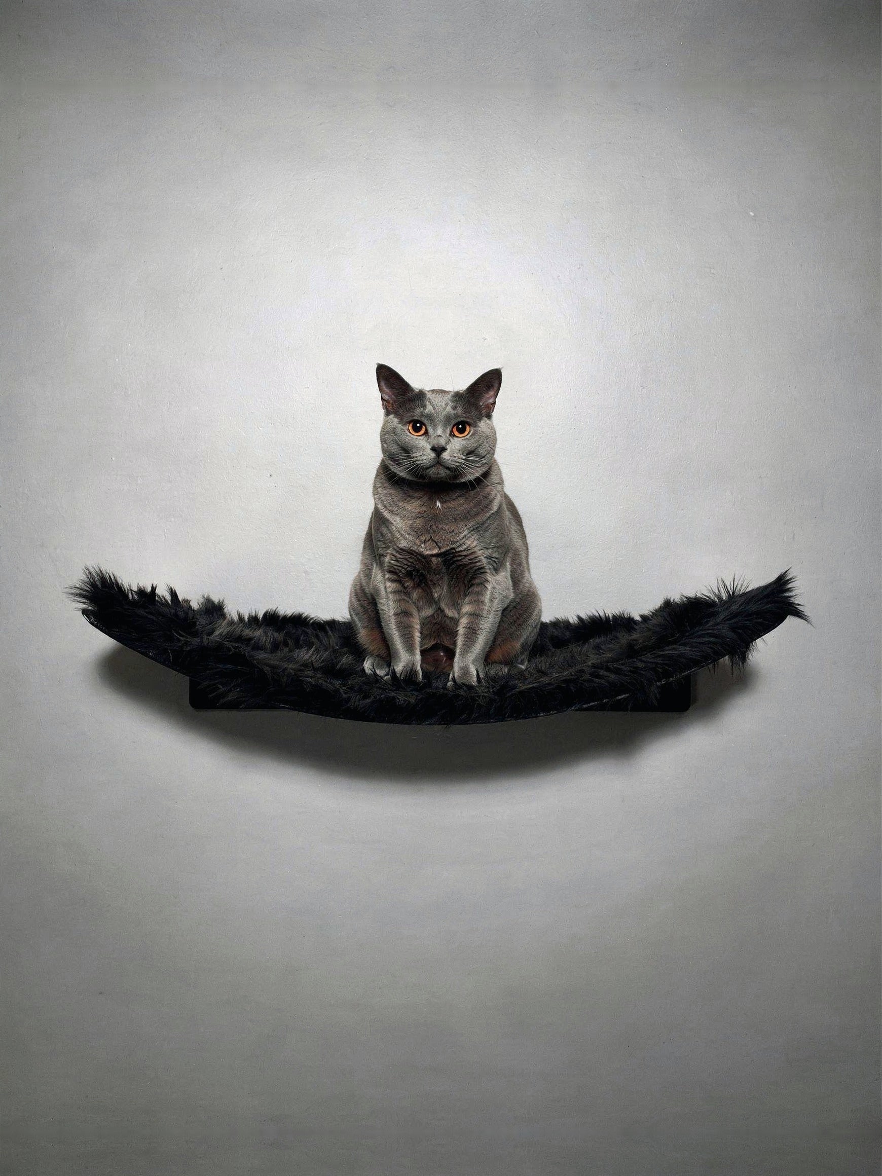 STYA Katzen Kletterwand | XXL Hängematte WL370