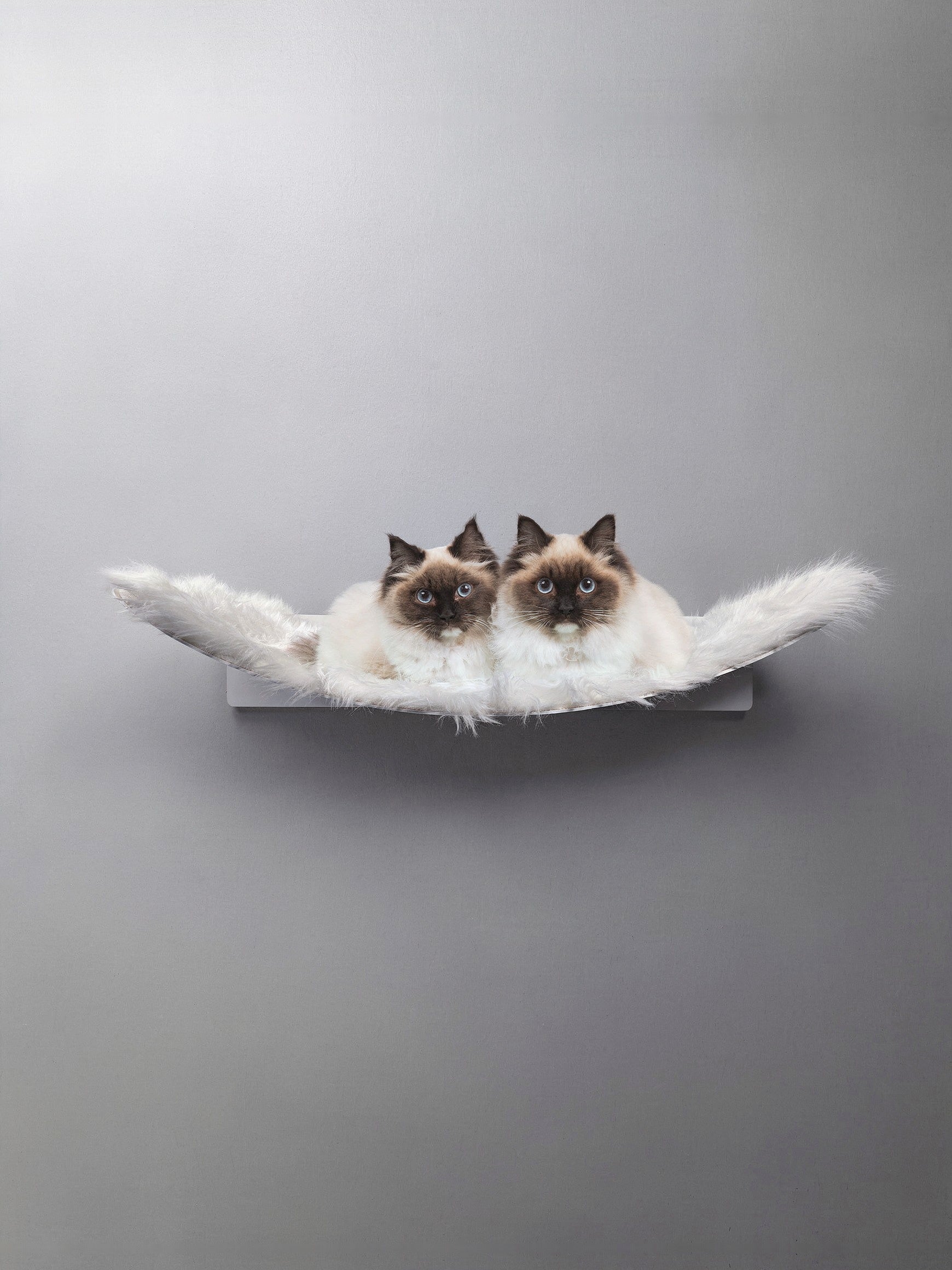 STYA Katzen Kletterwand | XXL Hängematte WL370