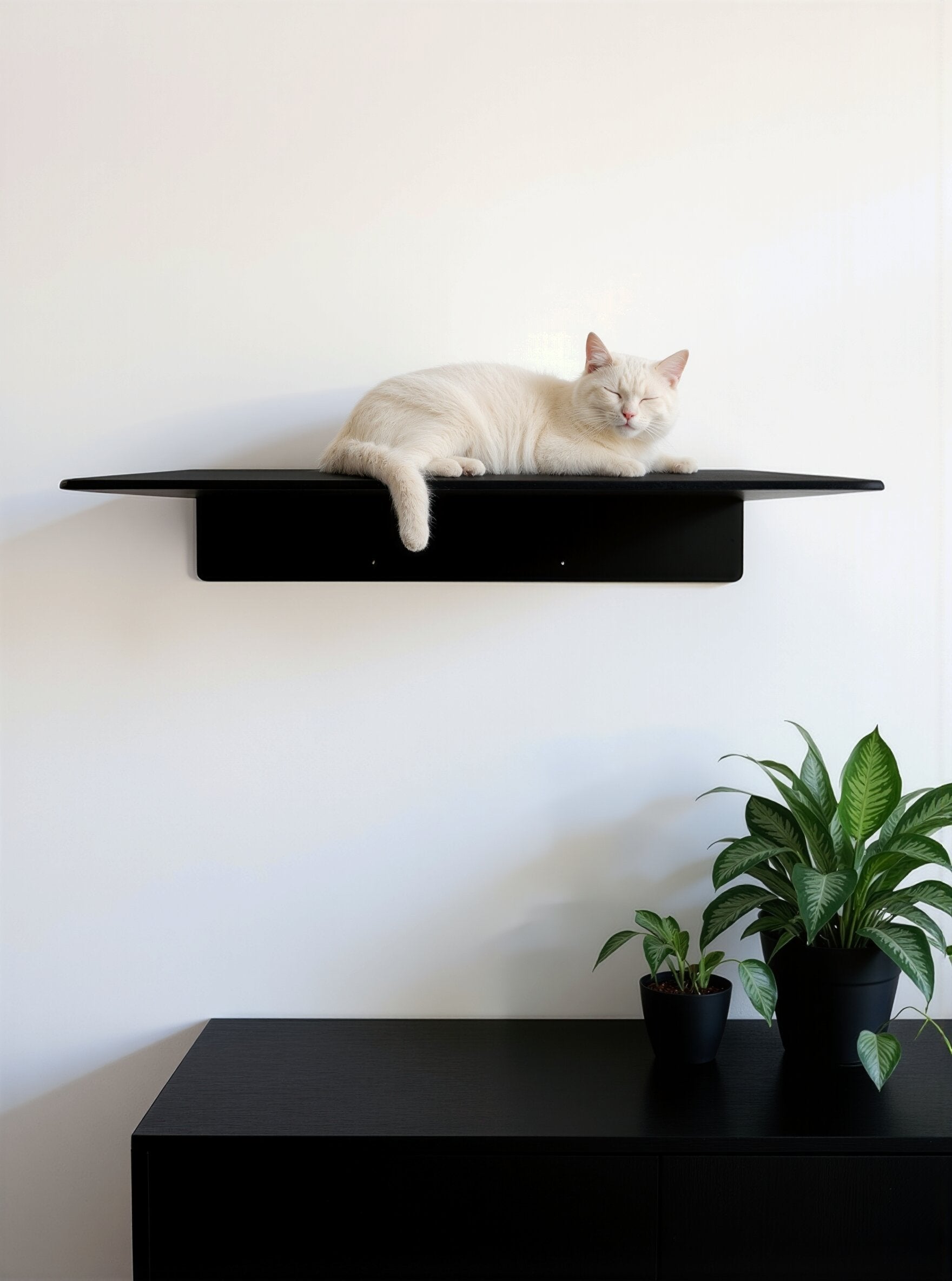 STYA Katzen Kletterwand | XXL Wandliege WL380