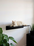 STYA Escalade murale pour chat | Lit mural XXL WL380