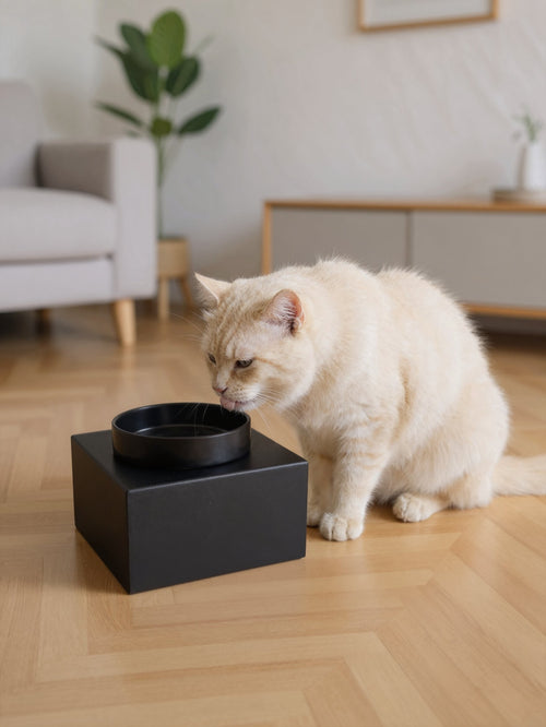 STYA Katzen Futternapf FE110 | Schwarz
