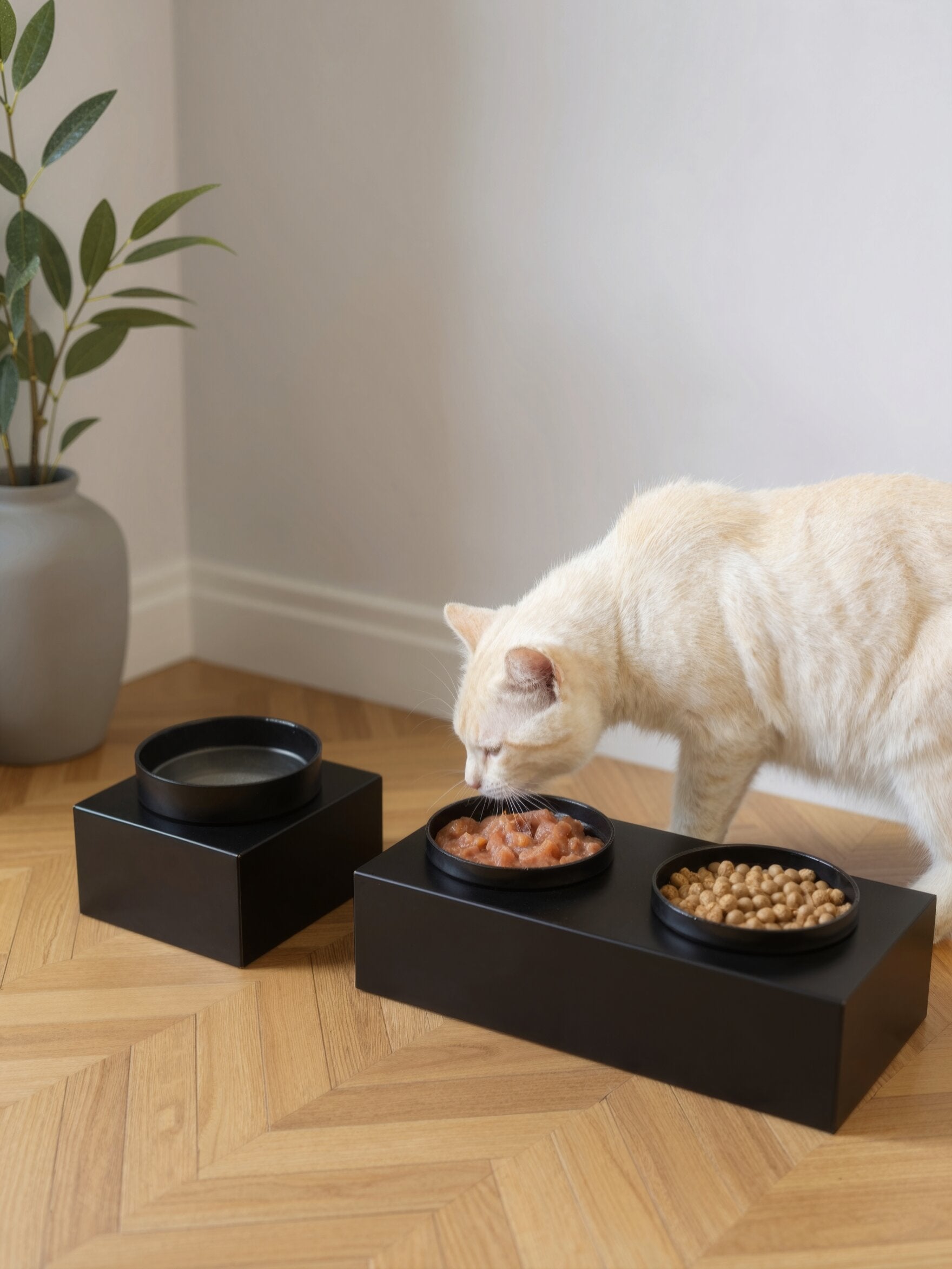STYA Katzen Futternapf Set FE100 | Schwarz
