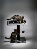 STYA Arbre à chat MS520 | Noir
