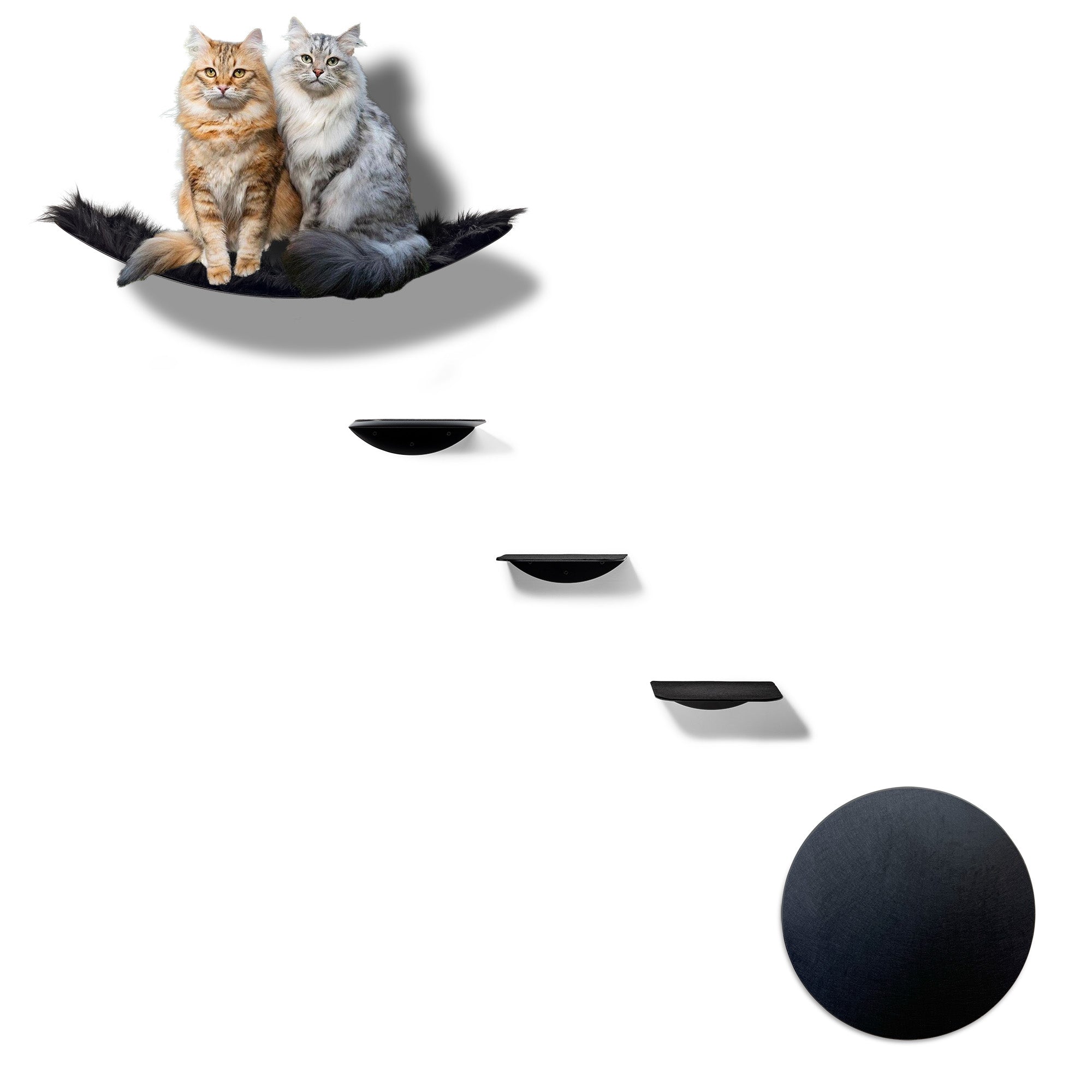 STYA Cat Climbing Wall | Elegance Hammock XXL Set | WL100 Line