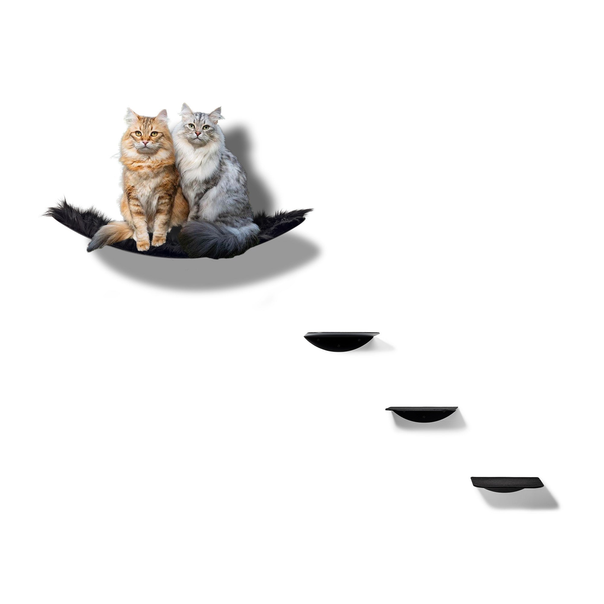 STYA Mur d'escalade pour chat | Hamac mural XXL minimaliste | Ligne WL100
