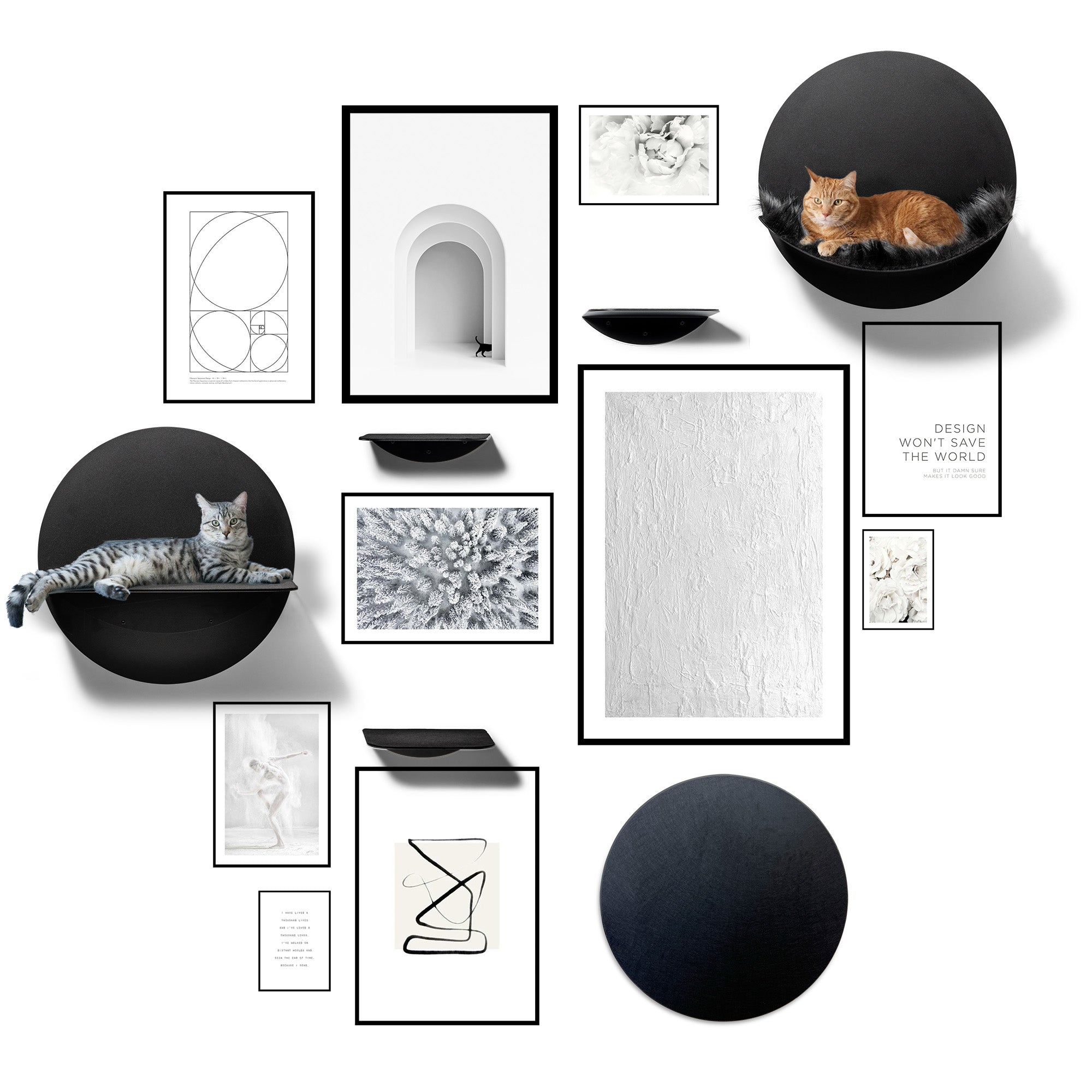 STYA Katzen Kletterwand | Set Galerie | Linie WL100