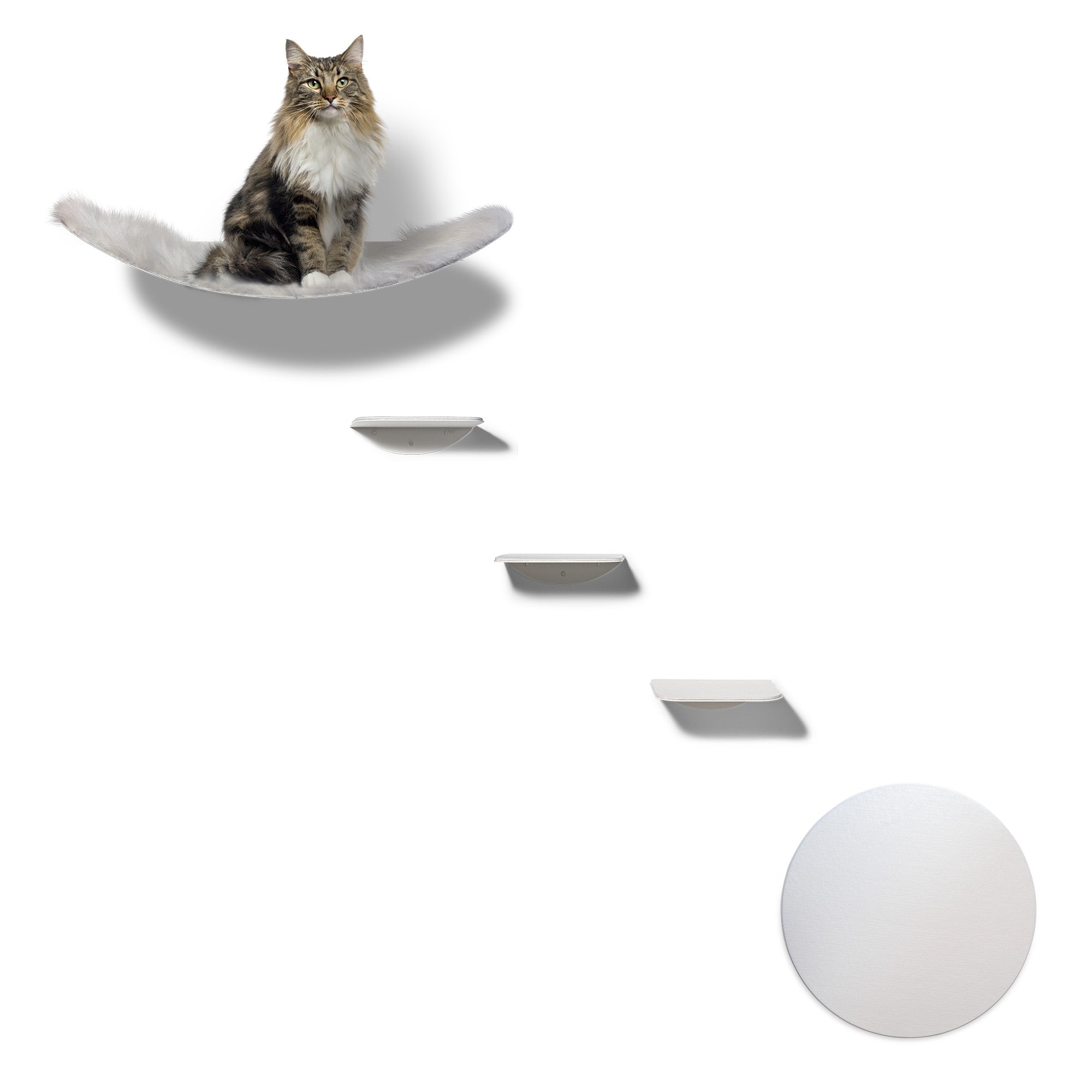 STYA Cat Climbing Wall | Elegance Hammock XXL Set | WL100 Line
